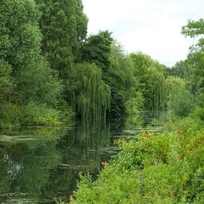 乐发彩票app下载